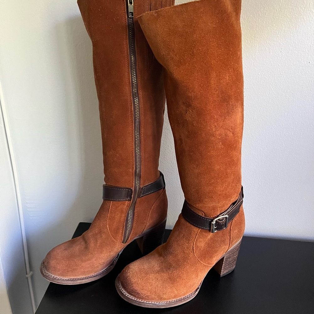 Freebird Holland suede